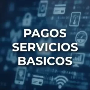 Pagos Servicios Basicos