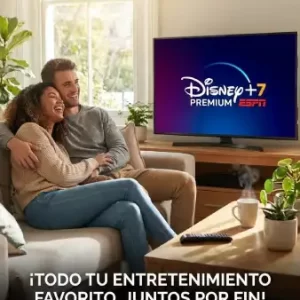 DisneyPremium