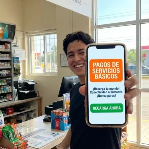 Servicios Basicos y Facturas